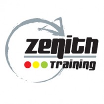 Zenith Training - Ladder Restraint System